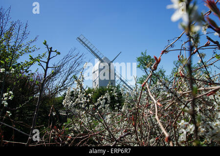 Jill, uno del Clayton mulini a vento in piedi sul South Downs nel West Sussex Foto Stock