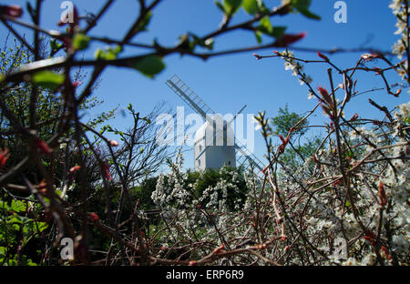 Jill, uno del Clayton mulini a vento in piedi sul South Downs nel West Sussex Foto Stock