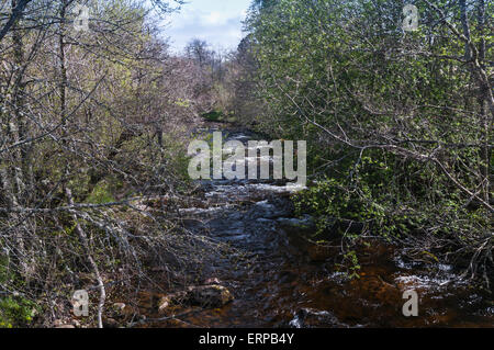 Il fiume Nethy, Abhainn Neithich, Nethy Bridge in Badenoch e Strathspey, Scozia Foto Stock