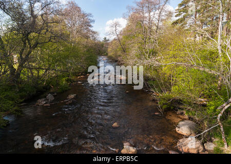 Il fiume Nethy, Abhainn Neithich, Nethy Bridge in Badenoch e Strathspey, Scozia Foto Stock