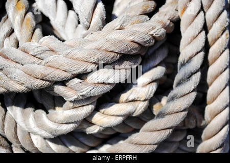 Dettaglio industriale con un mucchio di vecchi mare marittima funi Foto Stock