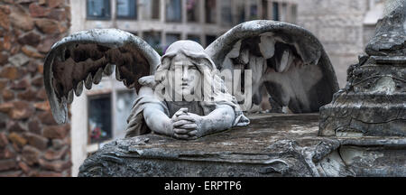 Vista panoramica del cimitero bella scultura raffigurante un inclinato verso il basso angelo alato pregando con mani giunte Foto Stock