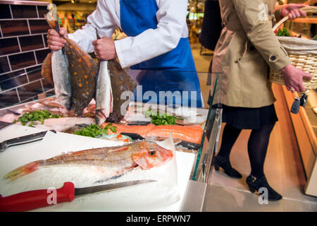 Un pescivendolo presso il suo contatore tenendo la passera di mare e di spigola con un cappone (in primo piano) REGNO UNITO Foto Stock