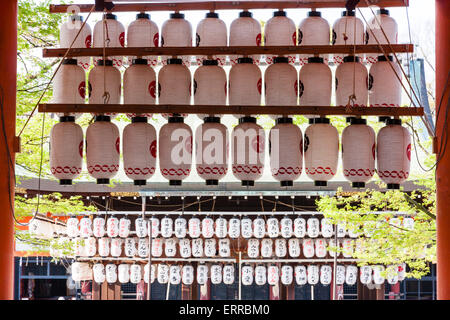 File di chochin, lanterne di carta, appese da una porta di vermiglio torii sull'ingresso si avvicina alla parte principale del santuario di Yasaka a Kyoto, Giappone. Foto Stock