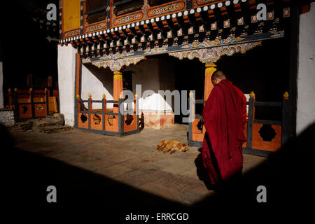 Un devoto buddista al Buddhista Jambay Lhakhang o Tempio Di Maitreya uno dei 108 templi costruiti dalla Re tibetano Songtsen Goenpo nel 659 DC vicino alla città Di Bumthang in Bhutan Foto Stock