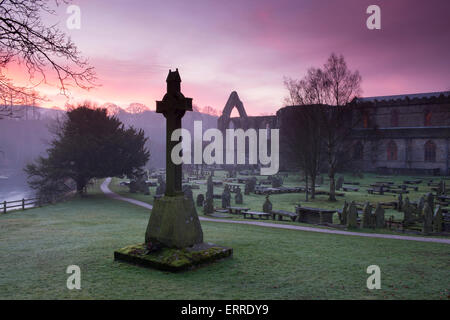 Misty inverno alba con cielo rosa su lapidi & pietra croce commemorativa in primo piano - scenic Bolton Abbey rovine, Yorkshire Dales, Inghilterra, Regno Unito. Foto Stock