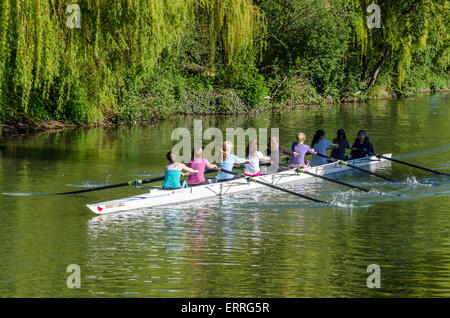 Donne vogatori in una barca sul fiume Cam, Cambridge, Regno Unito Foto Stock