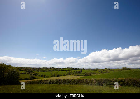 Rurale campi verde sotto un cielo blu in Irlanda rurale tydavnet contea di Monaghan Repubblica di Irlanda Foto Stock