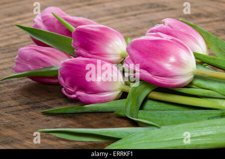 Fresh cut fascio di tulipani rosa su una tavola di legno Foto Stock