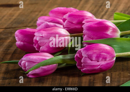 Fresh cut fascio di tulipani rosa su una tavola di legno Foto Stock