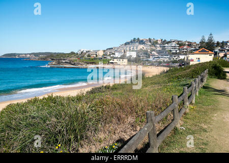 Guardando verso sud lungo curl curl beach verso Sydney.Curl Curl è un sobborgo a Sydney le spiagge del nord vicino a freshwater,l'australia Foto Stock