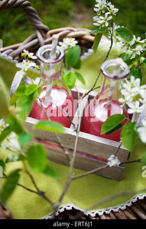 Il succo prodotto in casa fatta di rabarbaro fresco Foto Stock