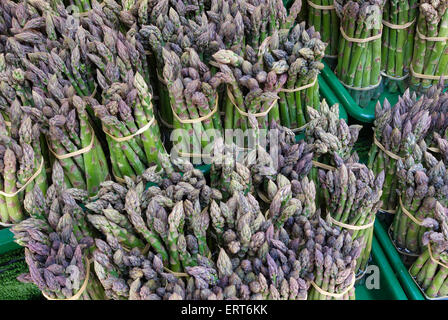 Mazzetti di asparagi in stallo del mercato Foto Stock