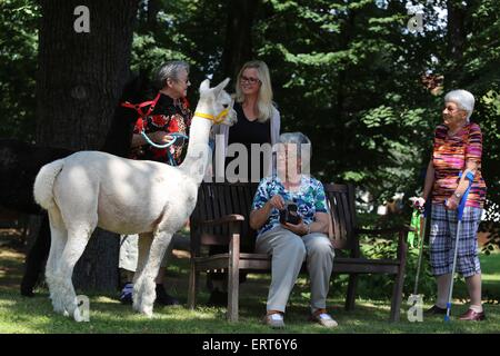 Animale-terapia assistita Foto Stock