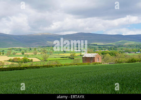 Campo fienile e terreni agricoli, sostenuta da Cross è sceso, Eden Valley, Cumbria, England Regno Unito Foto Stock