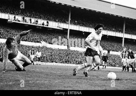 Tottenham Hotspur 2-0 Hull City, fa il quarto round in abbinamento a White Hart Lane, sabato 24 gennaio 1981. Steve Perryman Foto Stock