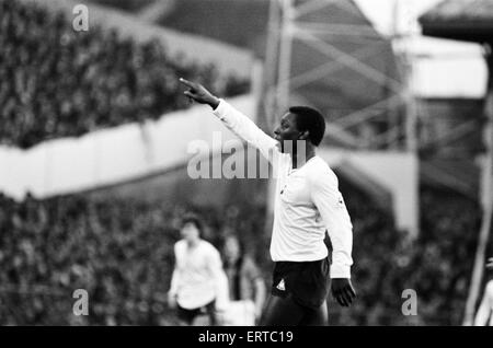 Tottenham Hotspur 2-0 Hull City, fa il quarto round in abbinamento a White Hart Lane, sabato 24 gennaio 1981. Garth uncini Foto Stock