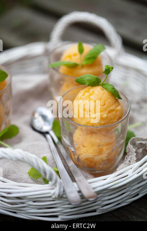 Il sorbetto di fatti in casa con frutti tropicali e menta Foto Stock