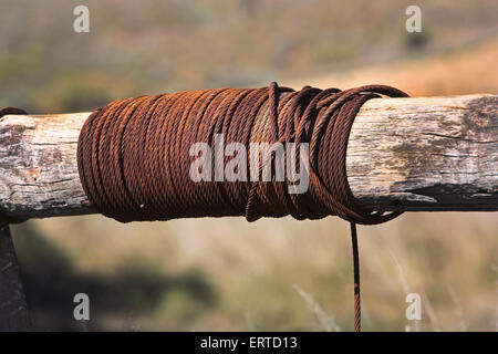 Vecchia attrezzatura agricola in azienda abbandonata. Flinders Ranges, Sud Australia. Foto Stock