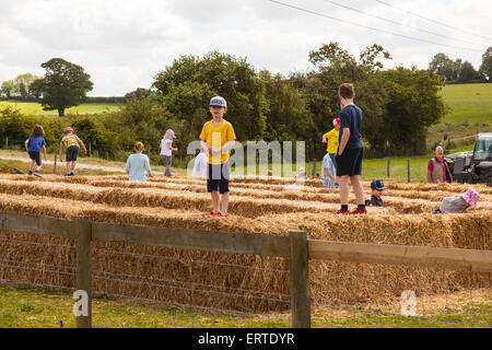 Balle di paglia labirinto a Cheriton medio Farm su open farm Domenica, Cheriton, Hampshire, Inghilterra, Regno Unito. Foto Stock