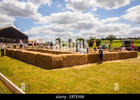 Balle di paglia labirinto a Cheriton medio Farm su open farm Domenica, Cheriton, Hampshire, Inghilterra, Regno Unito. Foto Stock