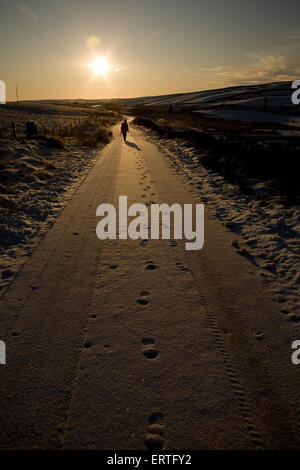 Stagliano donna camminando lungo una coperta di neve road verso il sole al tramonto, Glen Whilly, Dumfries and Galloway, Scozia Foto Stock