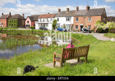 Cottage colorati sul villaggio verde a Frampton on severn, Gloucestershire, England, Regno Unito Foto Stock