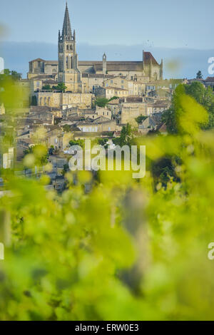 Vigneto e il villaggio di Saint-Emilion Foto Stock