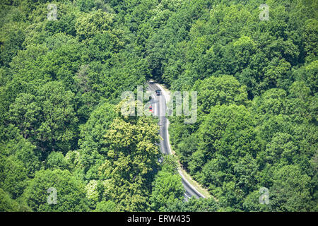 Vista aerea di tortuosa strada attraverso la foresta lussureggiante. Foto Stock