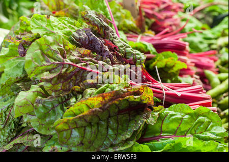 Bietola svizzera rossa mazzetto cruda e fresca nel mercato Foto Stock