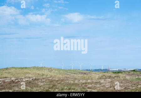 FALKENBERG, Svezia - 5 giugno 2015: Wind Turbine di alimentazione e salute naturale il 5 giugno a Falkenberg (Svezia). Foto Stock