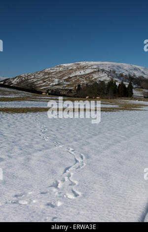 Animale (ovini) tracce nella neve con il villaggio di Muker, Swaledale, North Yorkshire in background Foto Stock