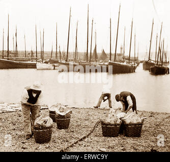 St Ives Cornwall periodo Vittoriano Foto Stock