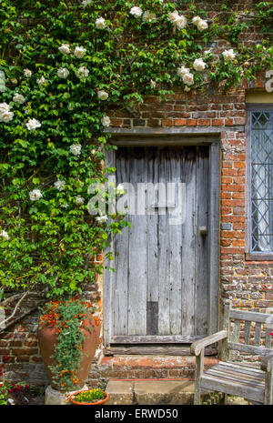 Weathered porta di legno di un mattone cottage incorniciato da rose rampicanti Foto Stock