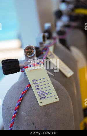 Scuba diving serbatoi aria attaccato con pannello di indicatore Foto Stock