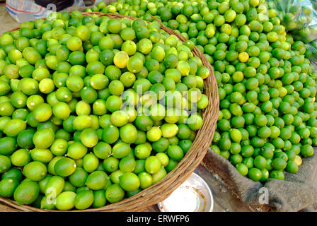 Limette fresche nel cestello al mercato, il Cairo, Egitto Foto Stock