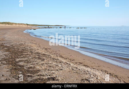 FALKENBERG, Svezia - 6 giugno 2015: la gente sulla spiaggia a Giugno 6, 2015 in Skrea, Falkenberg (Svezia). Foto Stock