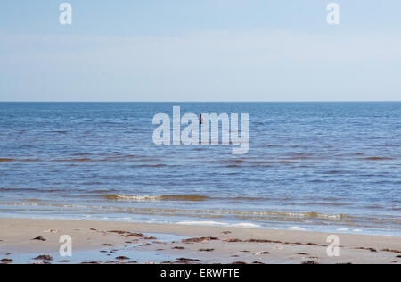 FALKENBERG, Svezia - 6 giugno 2015: l'uomo nelle fredde acque oceaniche sulla spiaggia a Giugno 6, 2015 in Skrea, Falkenberg (Svezia). Foto Stock