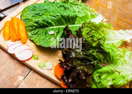 Ingredienti per insalata, Romaine e lattuga rossa con le carote affettate, ravanelli e cipollotti su un tagliere Foto Stock