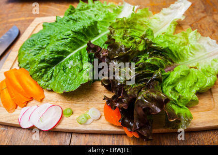 Ingredienti per insalata, Romaine e lattuga rossa con le carote affettate, ravanelli e cipollotti su un tagliere Foto Stock