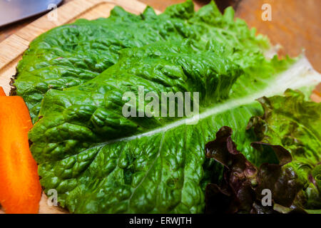 Ingredienti per insalata, Romaine e lattuga rossa con le carote affettate, ravanelli e cipollotti su un tagliere Foto Stock