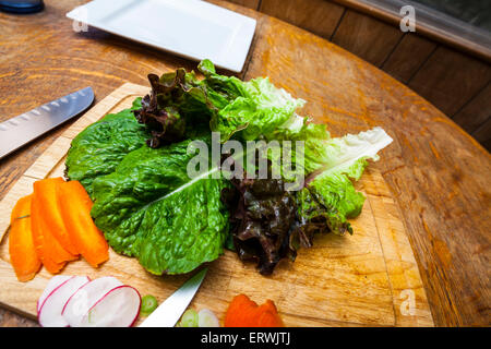 Ingredienti per insalata, Romaine e lattuga rossa con le carote affettate, ravanelli e cipollotti su un tagliere Foto Stock