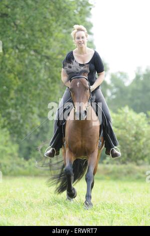 La donna corse Welsh-Cob Foto Stock