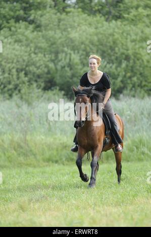 La donna corse Welsh-Cob Foto Stock