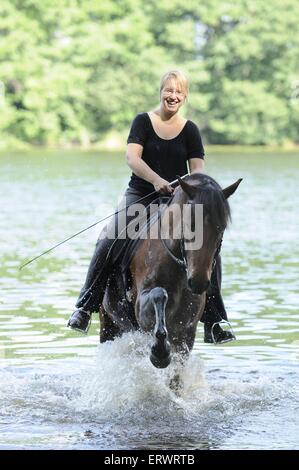 La donna corse Welsh-Cob Foto Stock