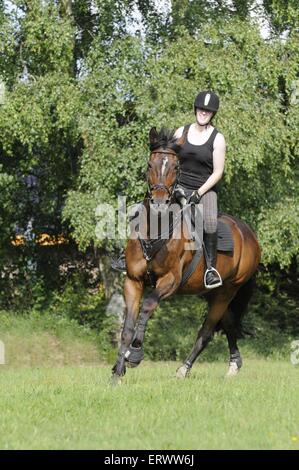 La donna corse Hanoverian Foto Stock