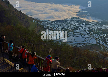 Campi terrazzati, Yunnan, Cina Foto Stock