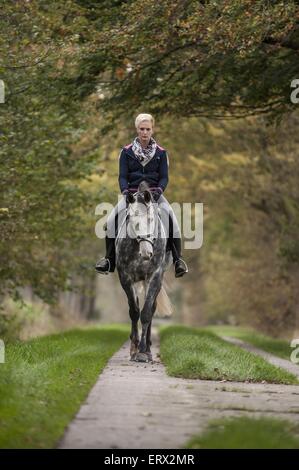 La donna corse di cavalli Oldenburg Foto Stock