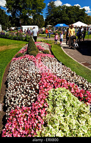 Ballarat Australia / annuale di Ballarat Begonia Festival è una manifestazione popolare nella città di Ballarat. Foto Stock