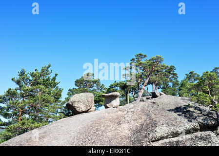 Pini sulla montagna contro il cielo blu Foto Stock